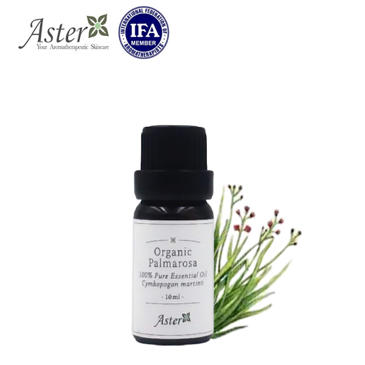 Aster Aroma 有機玫瑰草香薰精油 (Cymbopogon martini) - 10ml