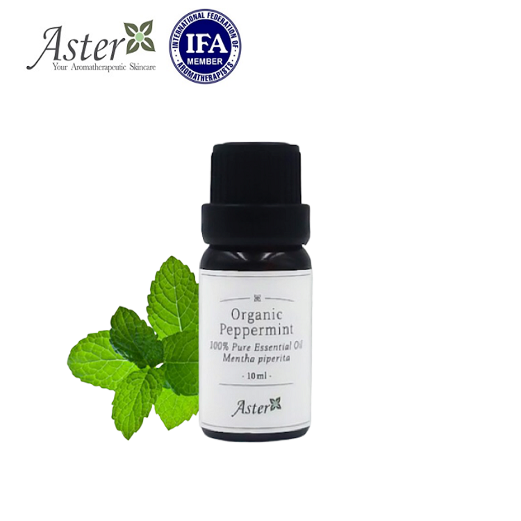 Aster Aroma 有機胡椒薄荷香薰精油 (Mentha piperita) - 10ml