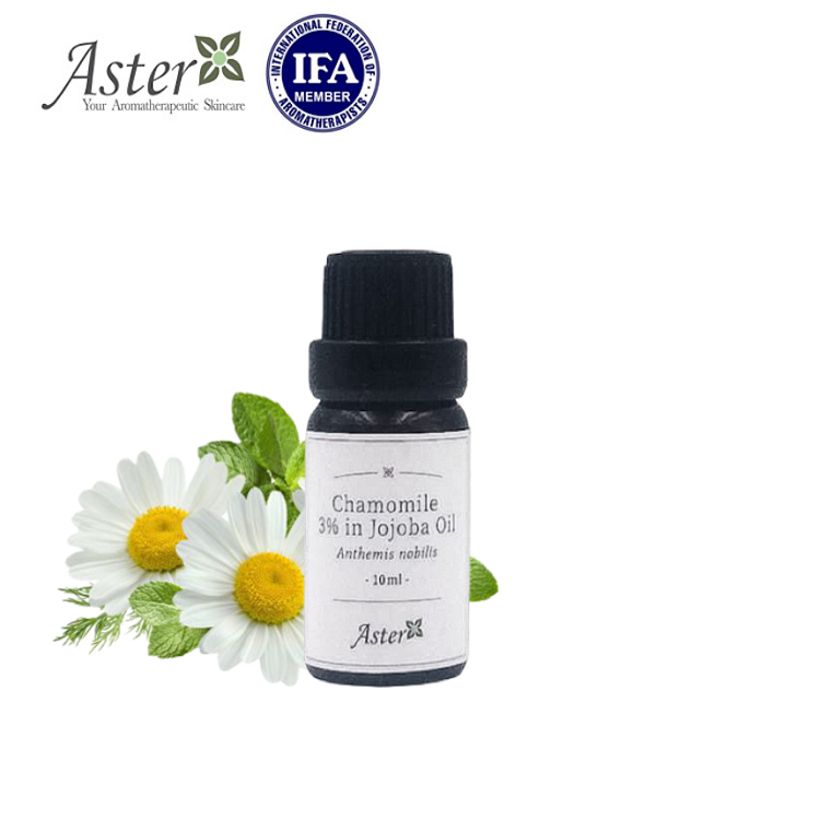 Aster Aroma 3% 洋甘菊香薰精油(Anthemis nobilis) + 有機荷荷巴油(Simmondsiachinensis) - 10ml