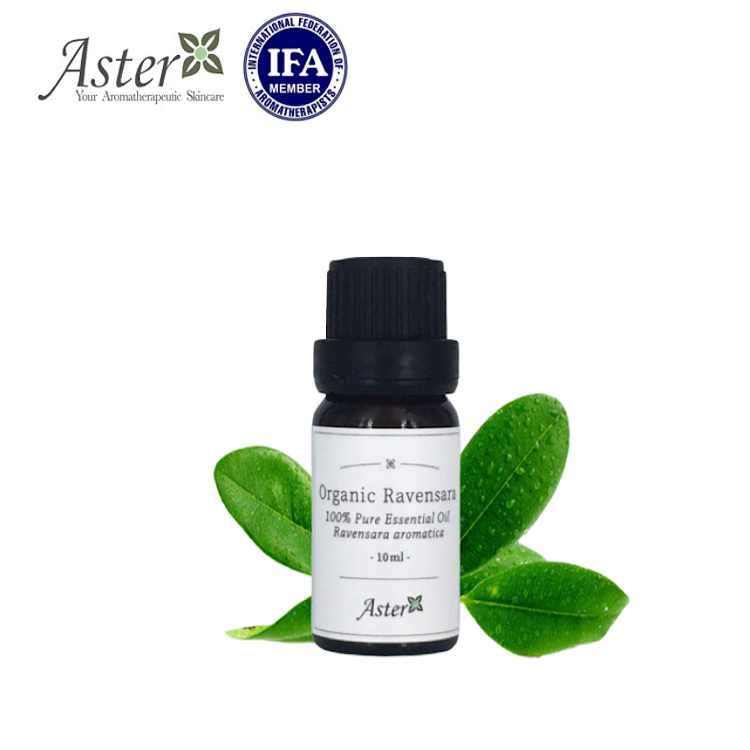 Aster Aroma 有機羅文莎葉香薰精油(Ravensara aromatica) - 10ml